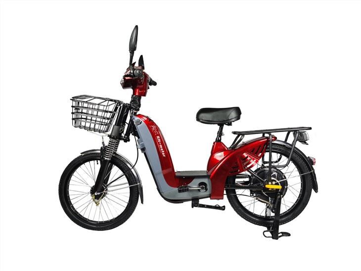 Assist Hybrid Electric Bike Family Use