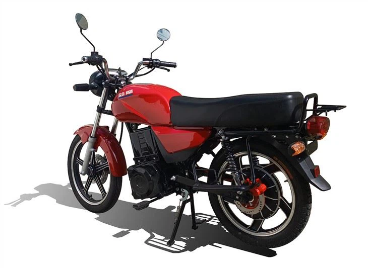 Electricity Street Motor For Adults 1500W